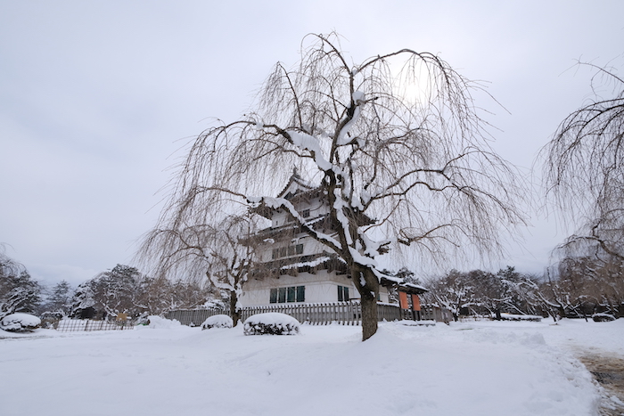 弘前城　天守　しだれ桜