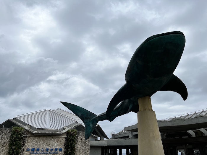 美ら海水族館　入口