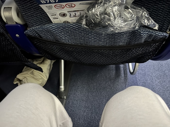 ANA B787 エコノミー 足元