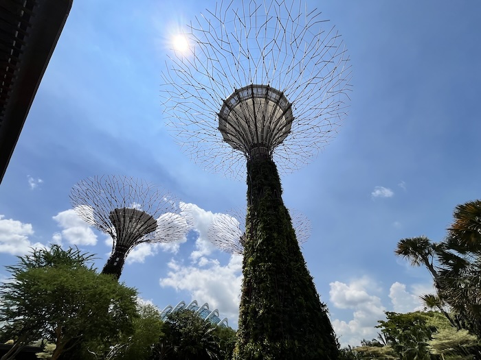 スーパーツリー 下から