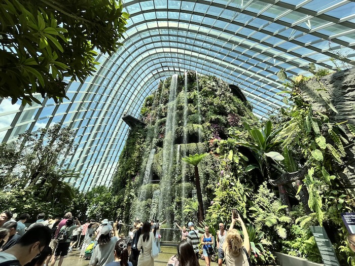 ガーデンズ・バイ・ザ・ベイ クラウドフォレスト 滝
