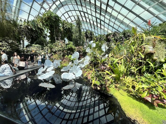 ガーデンズ・バイ・ザ・ベイ クラウドフォレスト 頂上