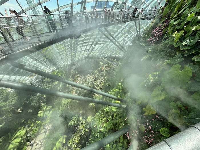 ガーデンズ・バイ・ザ・ベイ クラウドフォレスト 霧