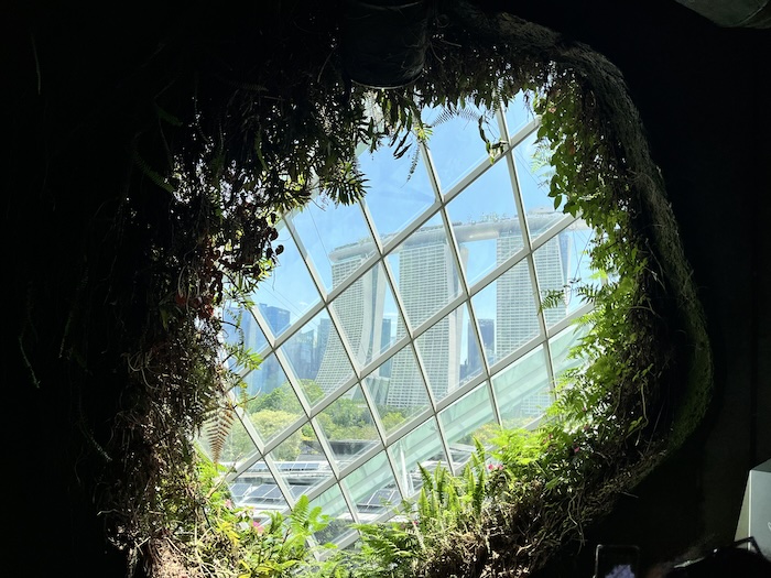 ガーデンズ・バイ・ザ・ベイ クラウドフォレスト マリーナベイサンズ