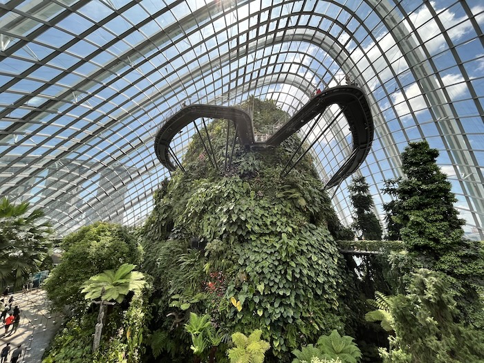 ガーデンズ・バイ・ザ・ベイ クラウドフォレスト 下からの眺め
