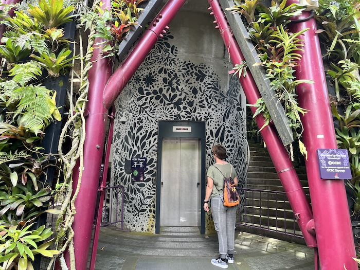 ガーデンズ・バイ・ザ・ベイ スカイウェイ エレベーター