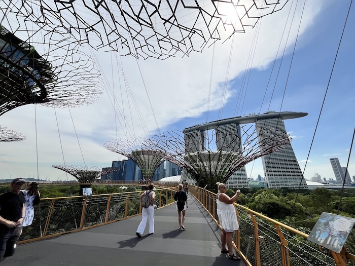 ガーデンズ・バイ・ザ・ベイ スカイウェイ 上からの眺め