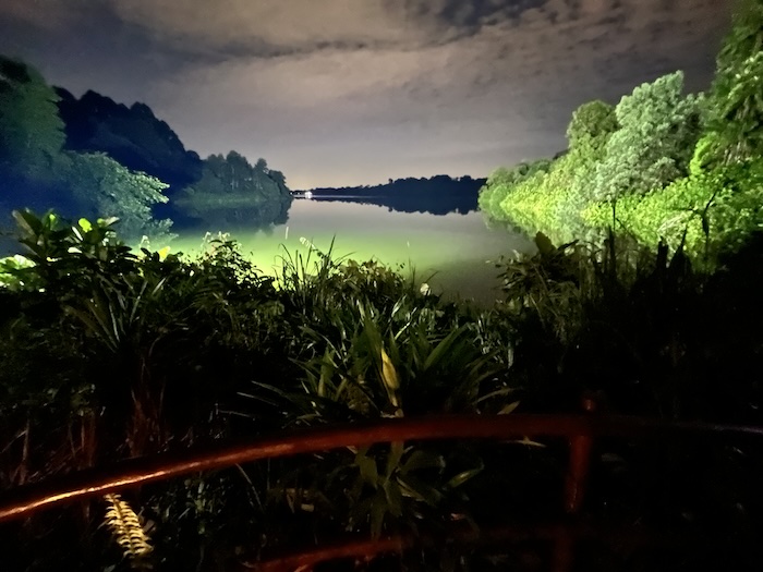 シンガポール ナイトサファリ トレイル