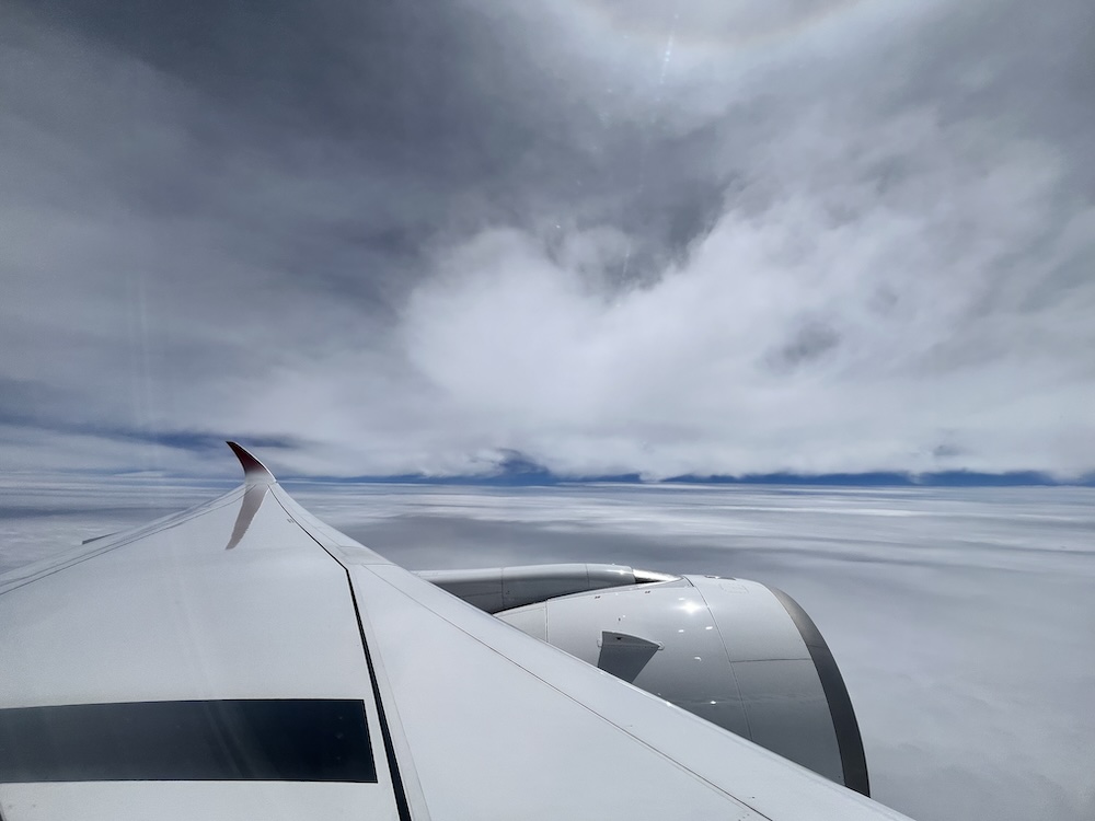 A350　JAL　雲の上