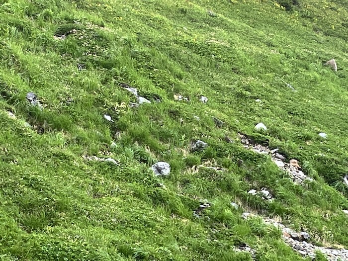アルペンルート　室堂　雷鳥